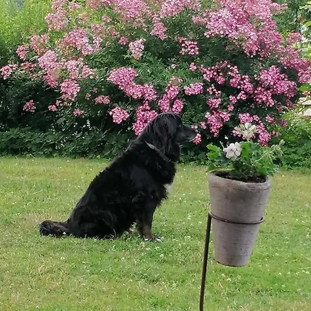 게스트하우스 Der Blankhof 