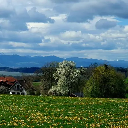 Der Blankhof 