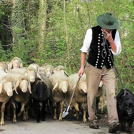 ゲストハウス Der Blankhof 