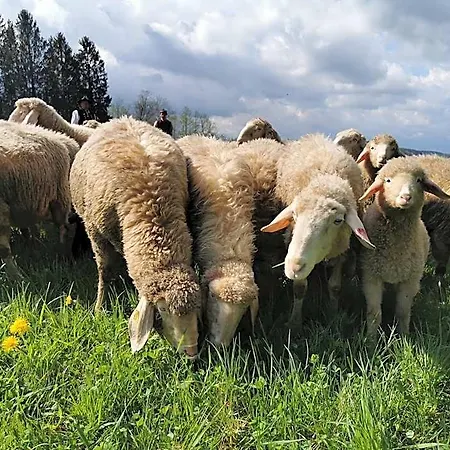 Der Blankhof 