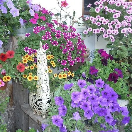 Πανσιόν Der Blankhof 