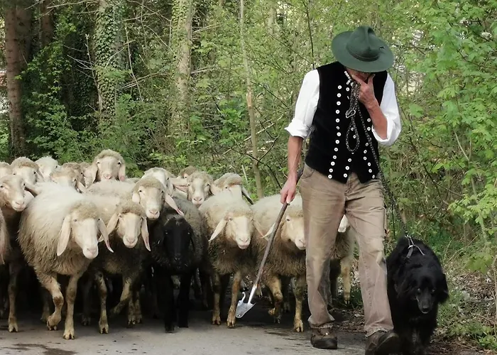 Affittacamere Der Blankhof 
