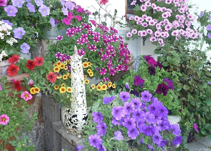 Guest house Der Blankhof 